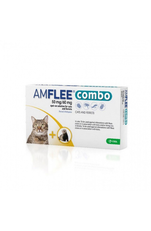 AMFLEE COMBO*1 PIP 50MG+60MG