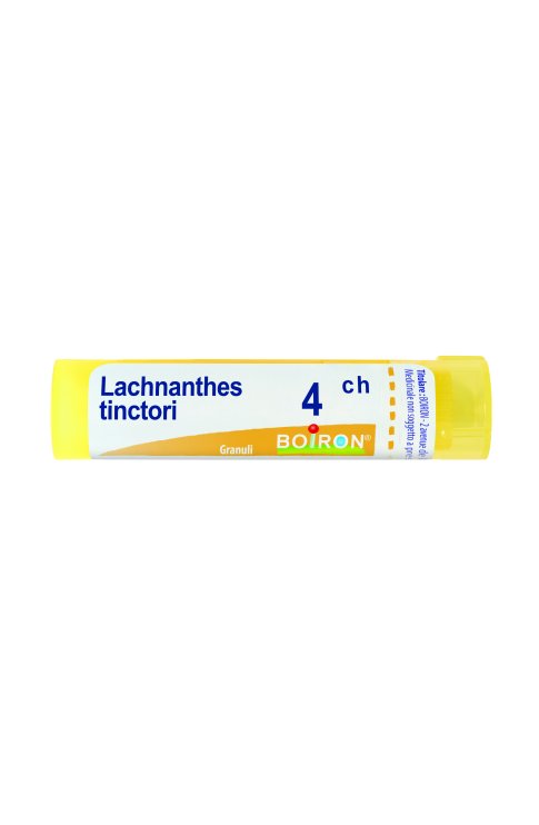 Lachnanthes Tinctoria 4Ch Granuli Multidose Boiron