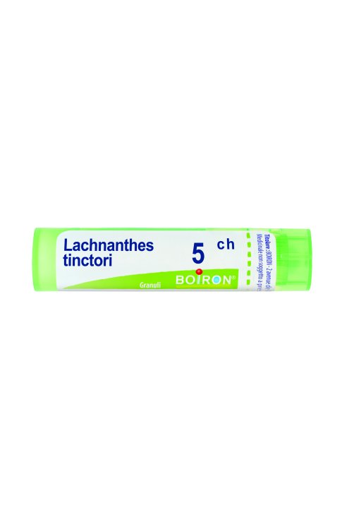 Lachnanthes Tinctoria 5Ch Granuli Multidose Boiron