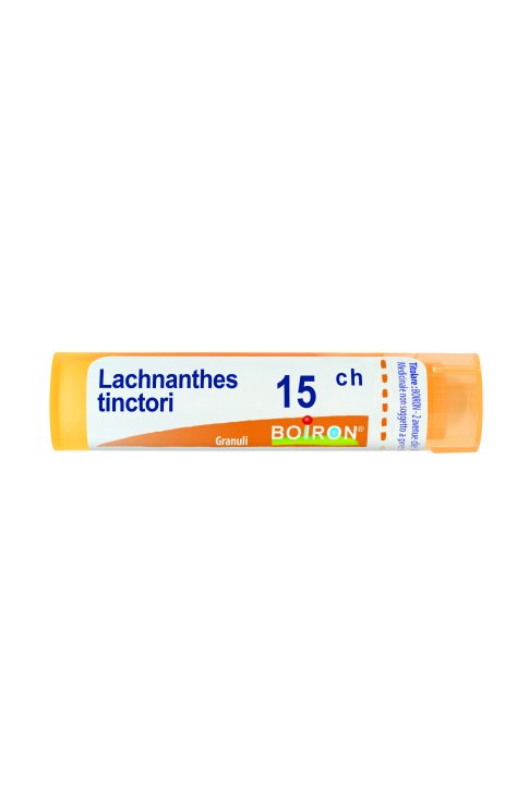 Lachnanthes Tinctoria 15ch 80gr Boiron