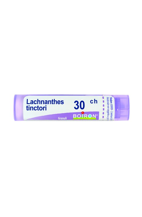 Lachnanthes Tinctoria 30ch 80gr Boiron