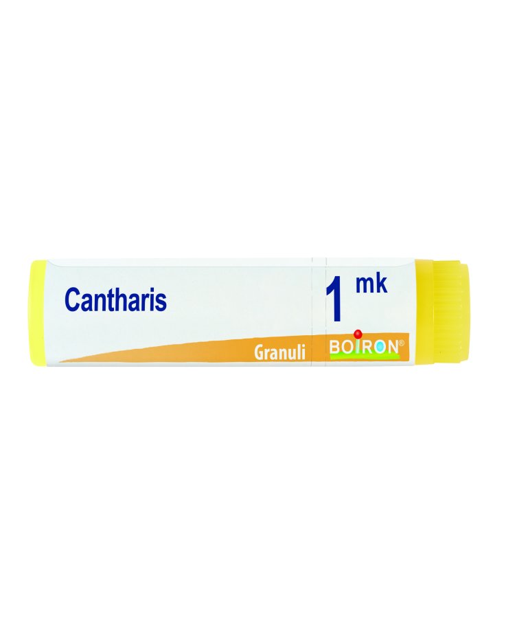 Cantharis Mk Gl
