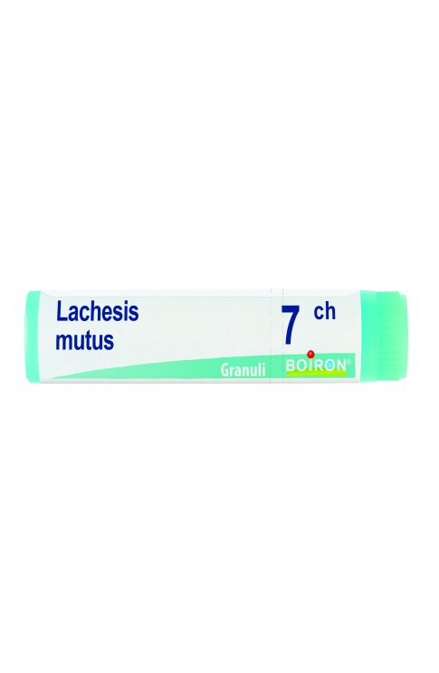 Lachesis Mutus 7Ch Globuli Monodose Boiron