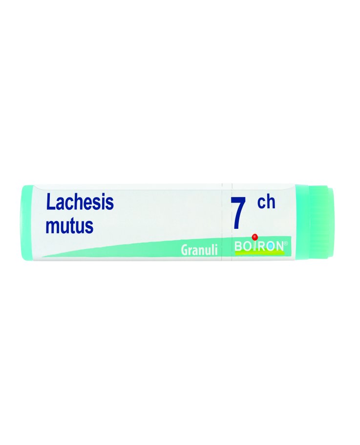 Lachesis Mutus 7Ch Globuli Monodose Boiron