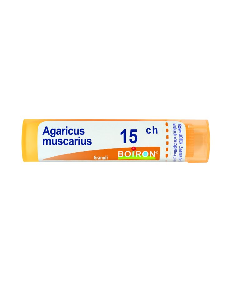 Agaricus muscarius 15 ch Tubo 2020