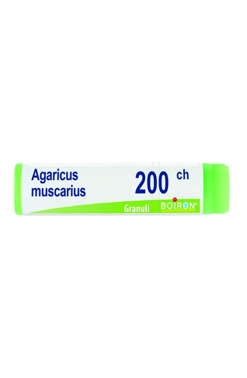 Agaricus muscarius 200 ch Dose 2020