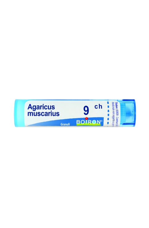 Agaricus muscarius 9 ch Tubo 2020
