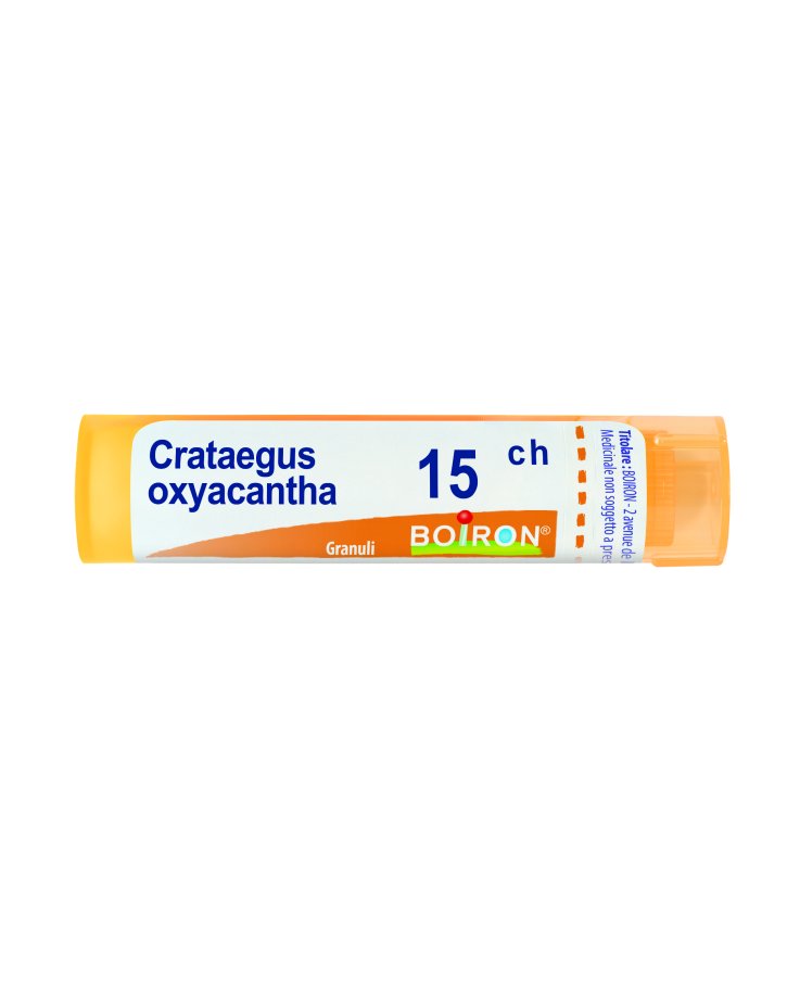 Crataegus oxyacantha 15 ch Tubo 2020