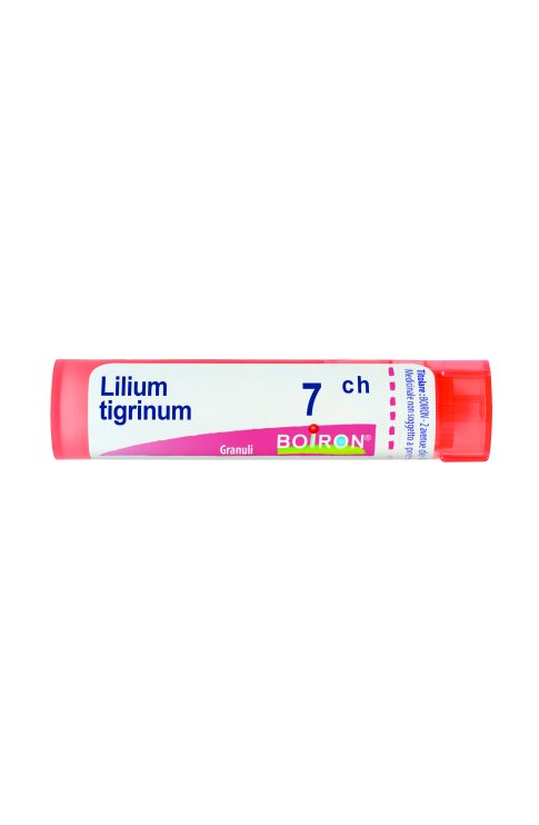 Lilium tigrinum 7 ch Tubo 2020