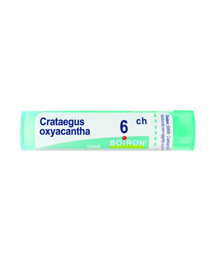Crataegus oxyacantha 6 ch Tubo 2020