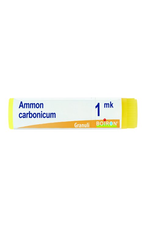 Ammon carbonicum 1 mk Dose 2020
