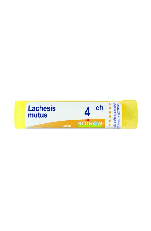 Lachesis mutus 4 ch Tubo 2020