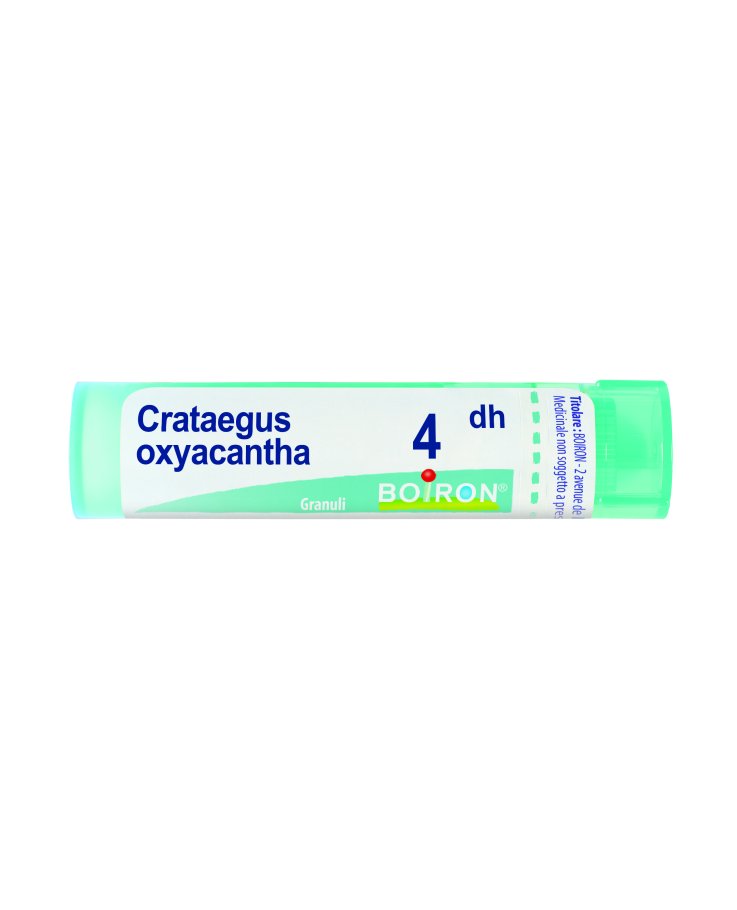Crataegus oxyacantha 04 dh Tubo 2020