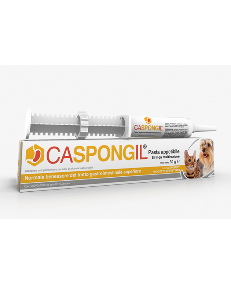 Caspongil® Pasta Shedir pharma® 30g