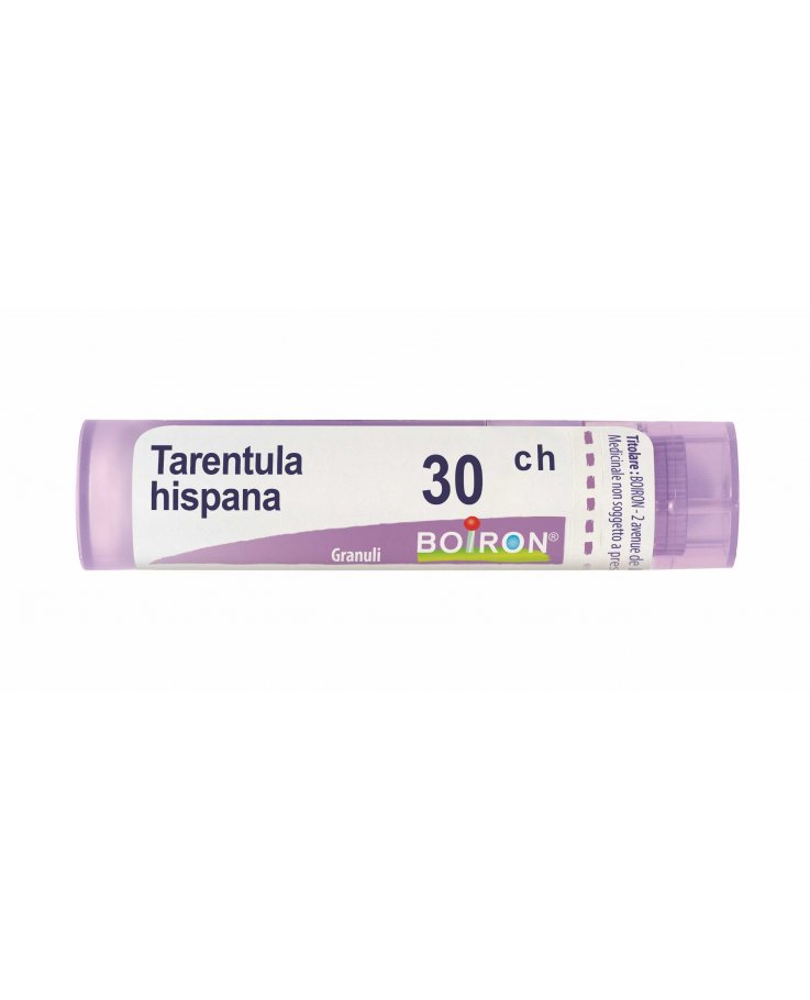 Tarentula hispana 30 ch Tubo 2020