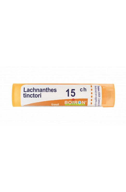 Lachnanthes tinctori 15 ch Tubo 2020