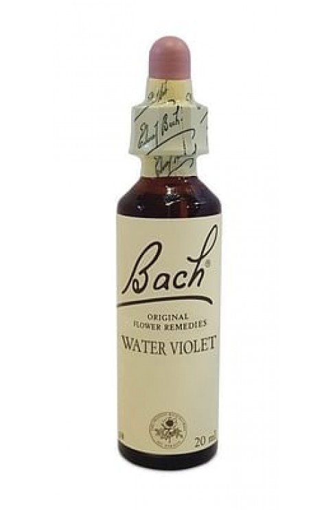 Bach Center Ess Water Violet20