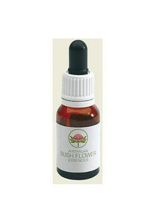 Yellow Cowslip Orchid 15ml Gocce
