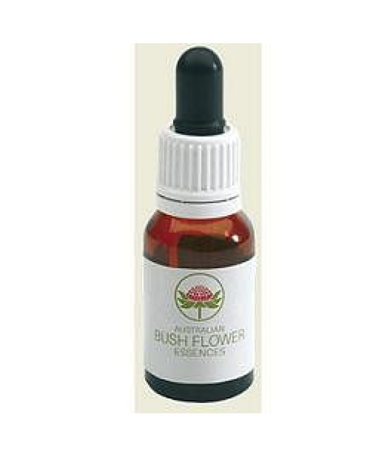 Yellow Cowslip Orchid 15ml Gocce