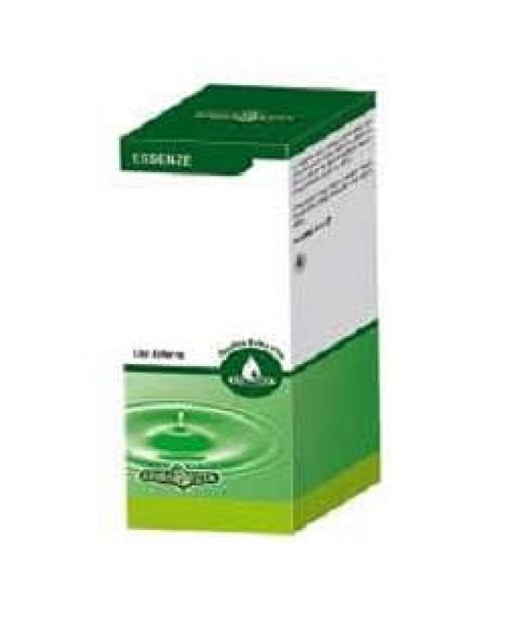 Essenza Patchouly 10ml
