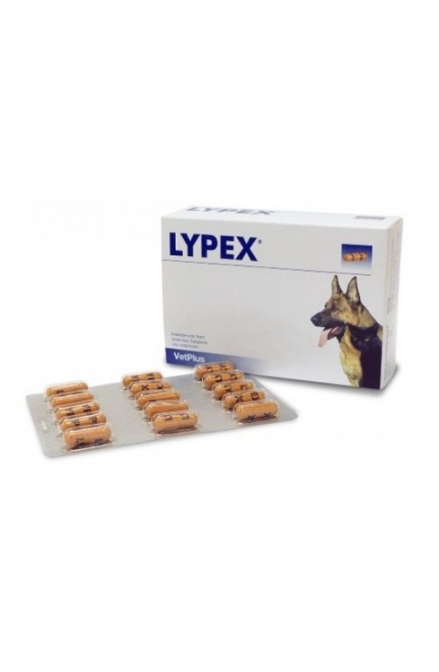 LYPEX 60 Cps