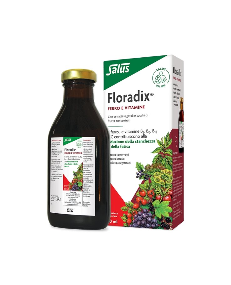 Floradix Integratore Ferro 250ml