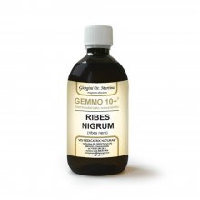 Ribes Nigrum (Ribes Nero) Gemmo10+ 500ml Giorgini