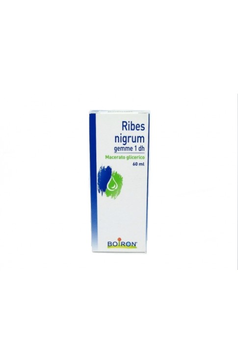 Ribes Nigrum Gemme 60ml Mg