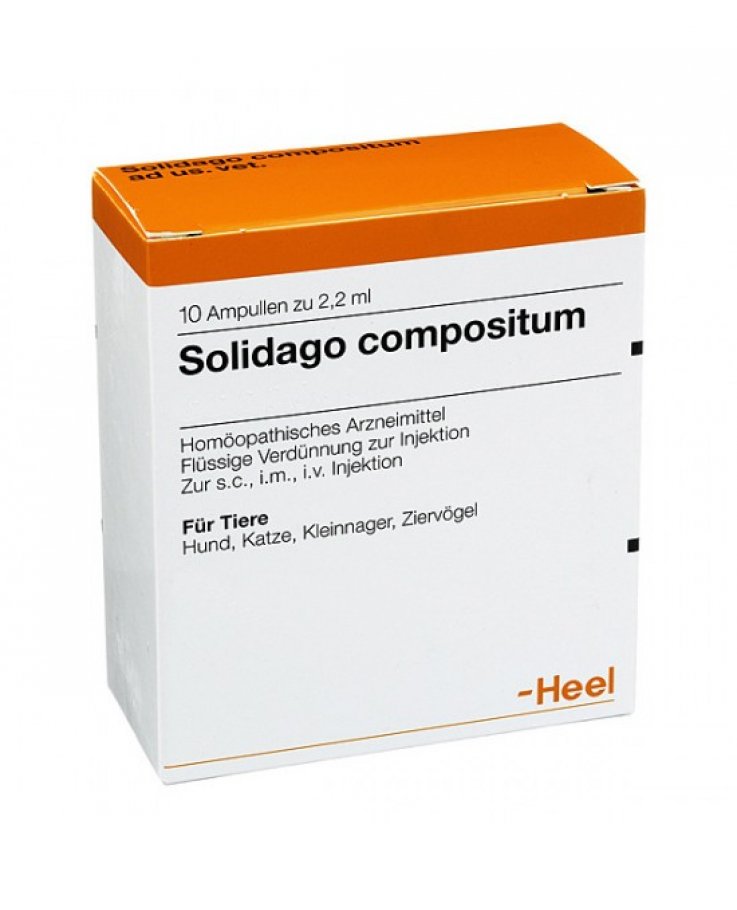 Solidago Compositum 10 Fiale 2,2ml Heel