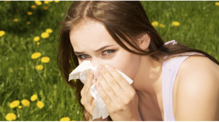 Allergie: prevenire con la fitoterapia 