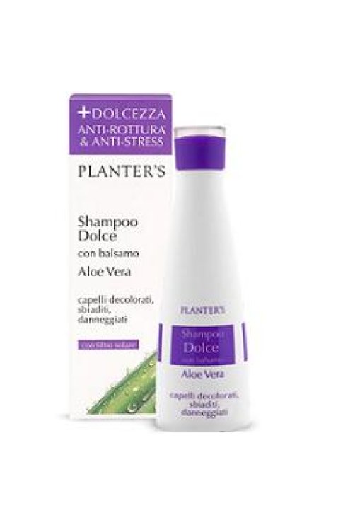 Planters Shampoo Dolce Aloe Vera