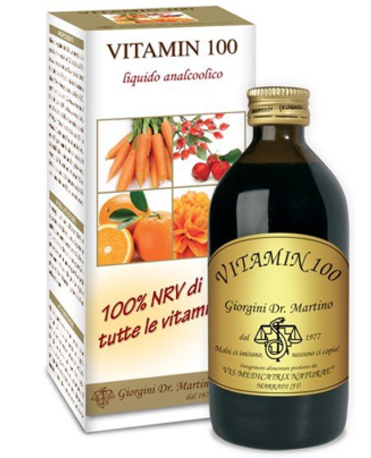 Vitamin 100 Liquido Analcolico 500ml Giorgini