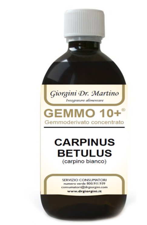 Carpino Gemmo 10+ Analcolico 500ml Giorgini