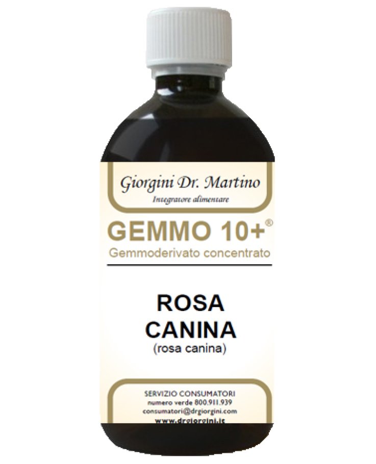 Rosa Canina Liquido Analcolico Gemmo 10+ Giorgini