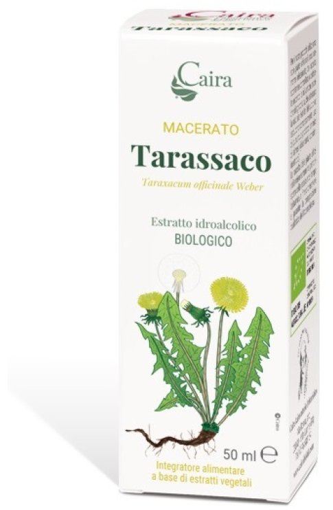 MACERATO TARASSACO BIO 50ML
