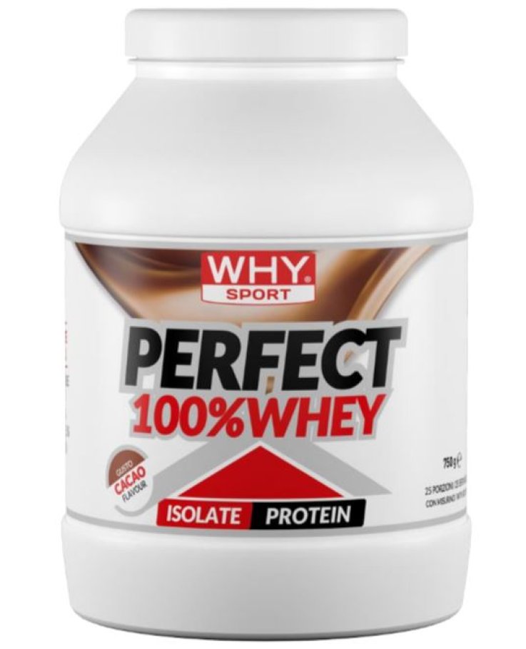 PERFECT 100%WHEY CACAO 900G
