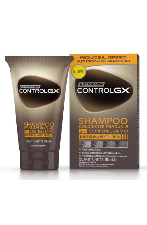 JUST For Men Control GX Shampoo 2in1