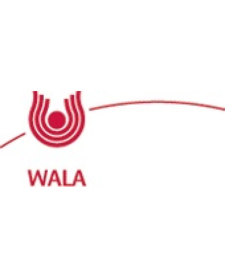 Wala Cartilago Compositum Globuli 20 G