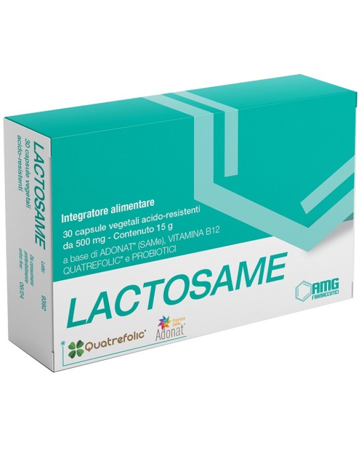 Lactosame Smg Farmaceutici 30 Capsule