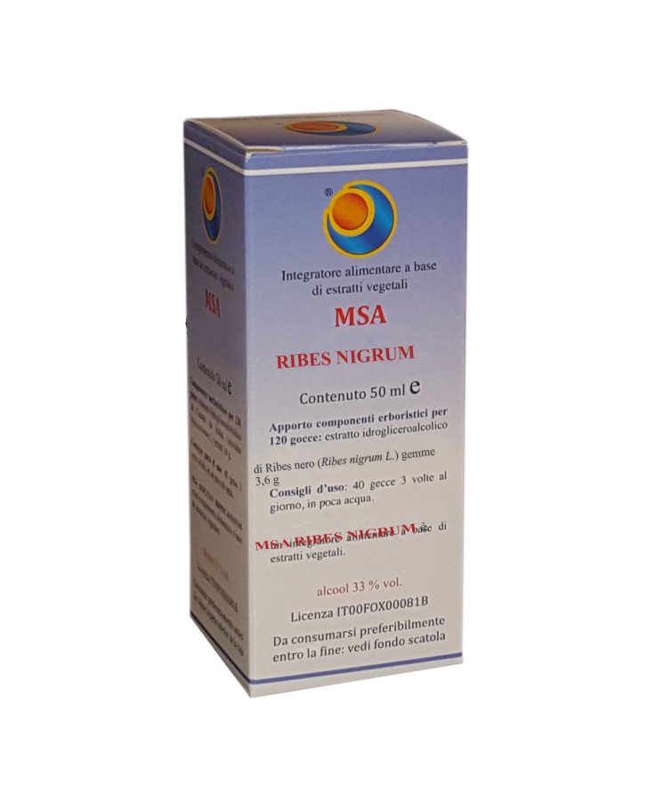MSA Ribes Nigrum 50ml