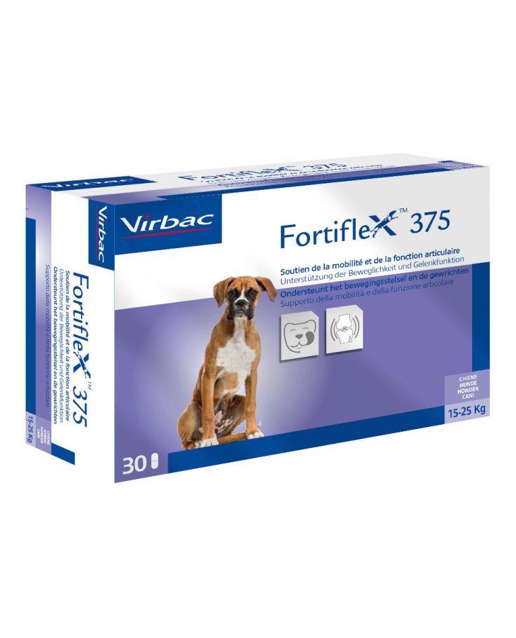 FORTIFLEX 375mg 30 Cpr