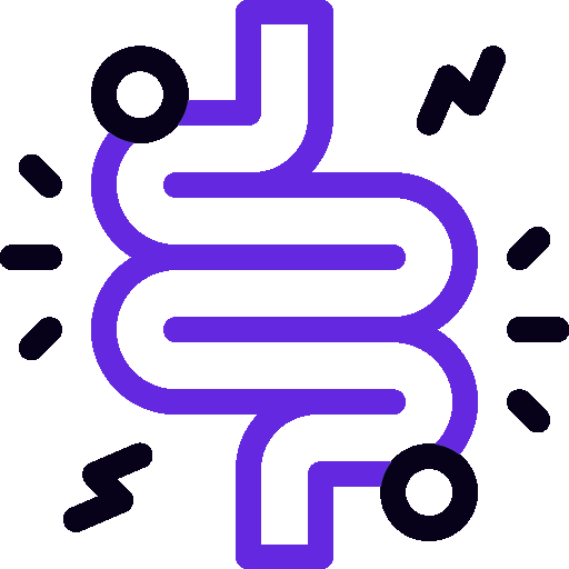 Stomaco e Intestino